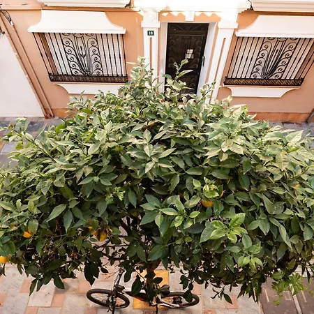 Town In Centre * Фуенхірола