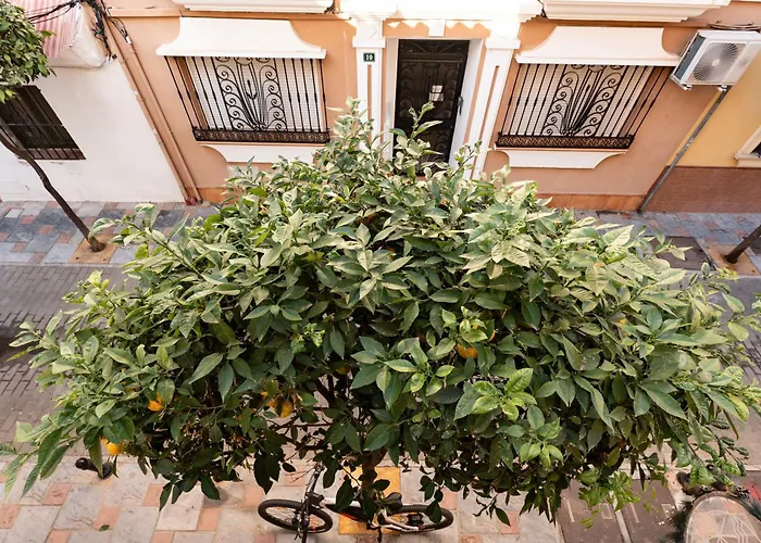 Town In Centre * Fuengirola